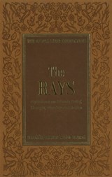 The Rays - Bediuzzaman Said Nursi - 9781597842150