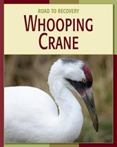 Whooping Crane