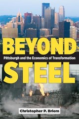 Beyond Steel - Christopher P. Briem - 9781606355022