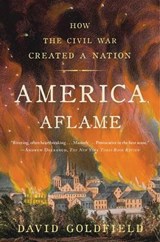 America Aflame - David Goldfield - 9781608193905