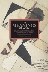 Meanings Of Work, The: Essays On The Affirmation And Negation Of Work - Ricardo Antunes - 9781608463381