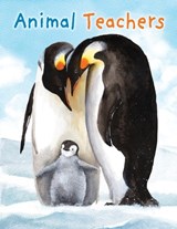 Animal Teachers - Katy Hudson - 9781609057435