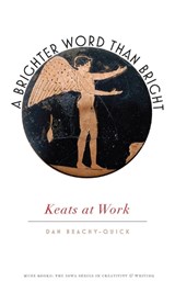 A Brighter Word Than Bright - Dan Beachy-Quick - 9781609383398
