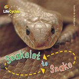 Snakelet to Snake - DE LA BEDOYERE,  Camilla - 9781609920463
