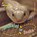 Snakelet to Snake, DE LA BEDOYERE,  Camilla - Gebonden - 9781609920463