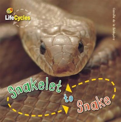 Snakelet to Snake, DE LA BEDOYERE,  Camilla - Gebonden - 9781609920463