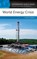 World Energy Crisis, DAVID E. (INDEPENDENT SCHOLAR,  USA) Newton - Gebonden - 9781610691475