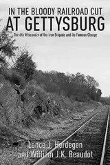 In the Bloody Railroad Cut at Gettysburg - Lance Herdegen ; William J. K. Beaudot Beaudot - 9781611212921