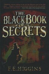 Black Book of Secrets - F E Higgins - 9781613830079
