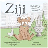 Ziji - Yongey Mingyur Rinpoche ; Torey Hayden - 9781614294917