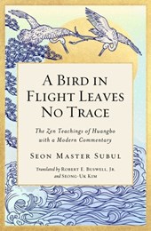 A Bird in Flight Leaves No Trace
