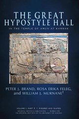 The Great Hypostyle Hall in the Temple of Amun at Karnak - Peter J. Brand ; Rosa Erika Feleg ; William J. Murnane - 9781614910275