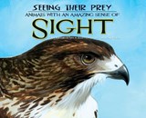 Seeing Their Prey: Animals With an Amazing Sense of Sight - LAY,  Kathryn - 9781616418670