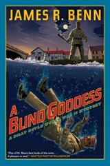A Blind Goddess - James R. Benn - 9781616953775