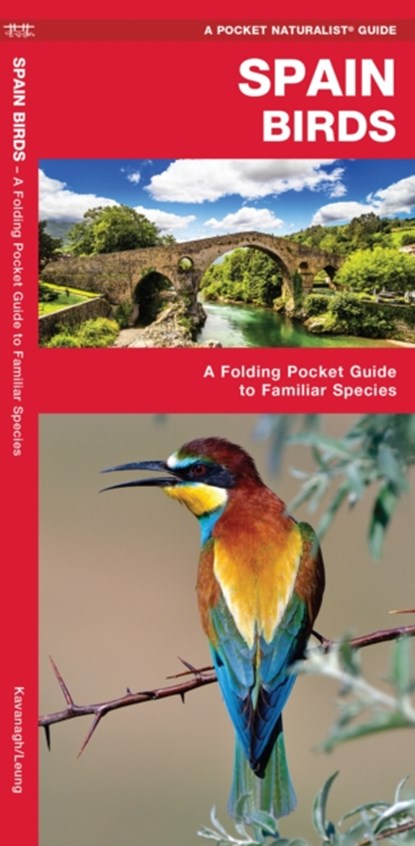 Spain Birds, James Kavanagh ; Waterford Press - Paperback - 9781620053492