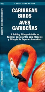 Caribbean Birds/Aves Caribenas: A Folding Pocket Guide to Familiar Species/Una Guia Plegable Portatil de Especies Conocidas - Waterford Press - 9781620055502
