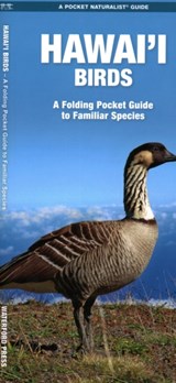 Hawai'i Birds, 2nd Ed - James Kavanagh - 9781620055885