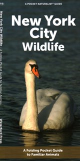 New York City Wildlife - Waterford Press - 9781620056264