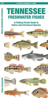 Tennessee Freshwater Fishes - Waterford Press Waterford Press - 9781620056691