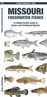 Missouri Freshwater Fishes - Matthew Morris - 9781620057728