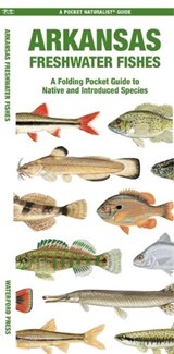 Arkansas Freshwater Fishes - Matthew Morris - 9781620058220