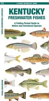 Kentucky Freshwater Fishes - Matthew Morris - 9781620058237