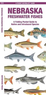 Nebraska Freshwater Fishes - Matthew Morris - 9781620058244