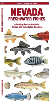 Nevada Freshwater Fishes: A Folding Pocket Guide to Native and Introduced Species - Matthew Morris - 9781620058251