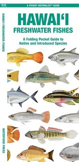 Hawai'i Freshwater Fishes - Matthew Morris - 9781620058305