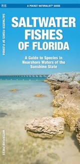 Saltwater Game Fish of Florida Nearshore Waters - J M Kavanagh - 9781620058336