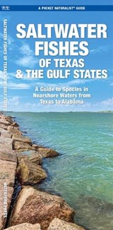 Saltwater Game Fish of Texas Nearshore Waters - J M Kavanagh - 9781620058497