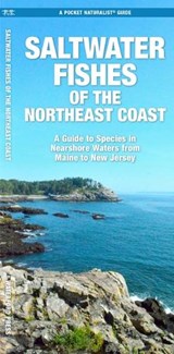 Saltwater Game Fish of Northeast Coast Nearshore Waters - J M Kavanagh - 9781620058503