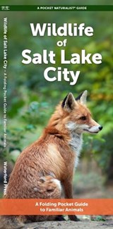 Salt Lake City Wildlife - J M Kavanagh - 9781620058558