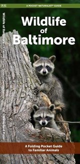 Baltimore Wildlife - J M Kavanagh - 9781620058589