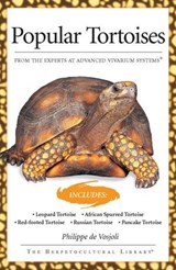 Popular Tortoises (Advanced Vivarium Systems) - Philippe de Vosjoli - 9781620080221
