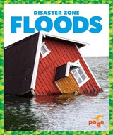 Floods - Vanessa Black - 9781620313985