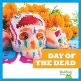 Day of the Dead - Rebecca Pettiford - 9781620315316