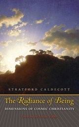 Radiance of Being - Stratford Caldecott - 9781621386094