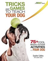 Tricks and Games to Teach Your Dog - Sophie Collins - 9781621870883