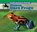 Poison Dart Frogs, MURRAY,  Julie - Gebonden - 9781624031922