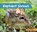 Elephant Shrews, ZAPPA,  Marcia - Gebonden - 9781624037740