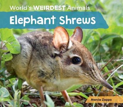 Elephant Shrews, ZAPPA,  Marcia - Gebonden - 9781624037740