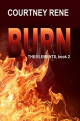 Burn - Courtney Rene - 9781624206993
