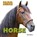 Horse, DICKER,  Katie - Gebonden - 9781625880222