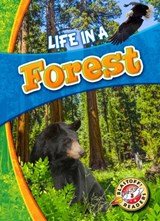 Life in a Forest - Laura Hamilton Waxman - 9781626173170