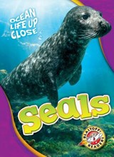Seals - Rebecca Pettiford - 9781626175747