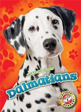 Dalmatians - Mari Schuh - 9781626176133