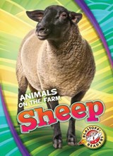 Sheep - Christina Leighton - 9781626177260