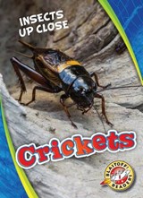 Crickets - Patrick Perish - 9781626178038