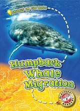 Humpback Whale Migration - Kari Schuetz - 9781626178168